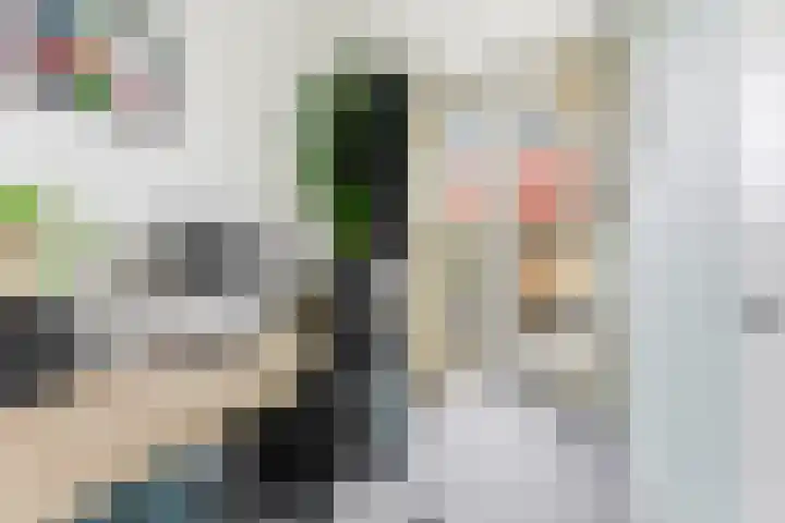 Kastanjesingel 181 B Rotterdam thumbnail 28