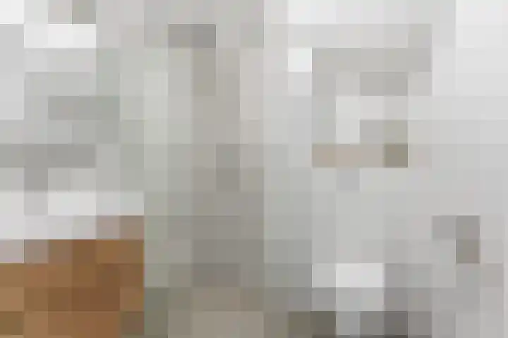 Kastanjesingel 181 B Rotterdam thumbnail 30