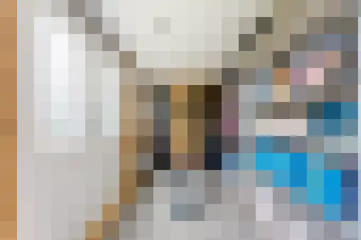 Kastanjesingel 181 B Rotterdam thumbnail 32