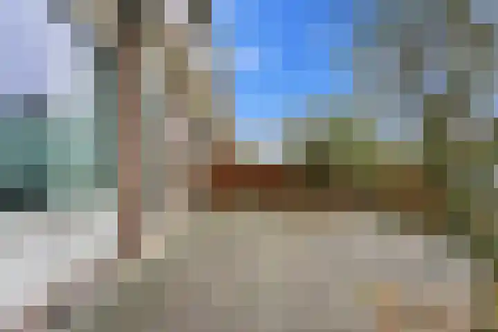 Kastanjesingel 181 B Rotterdam thumbnail 35