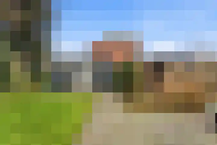 Kastanjesingel 181 B Rotterdam thumbnail 38