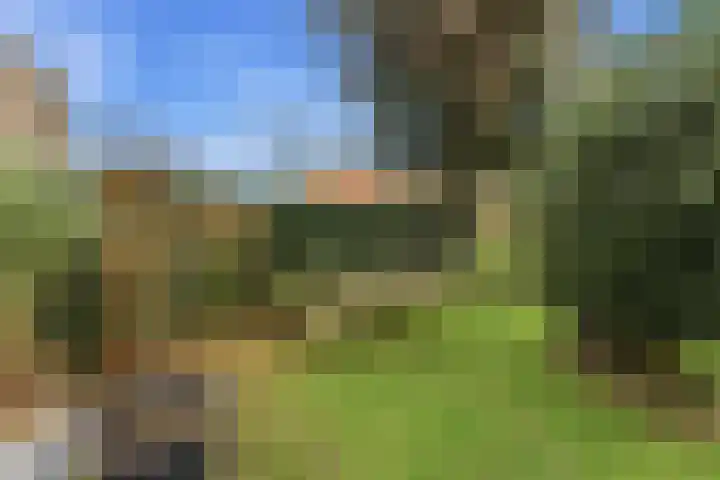 Kastanjesingel 181 B Rotterdam thumbnail 39
