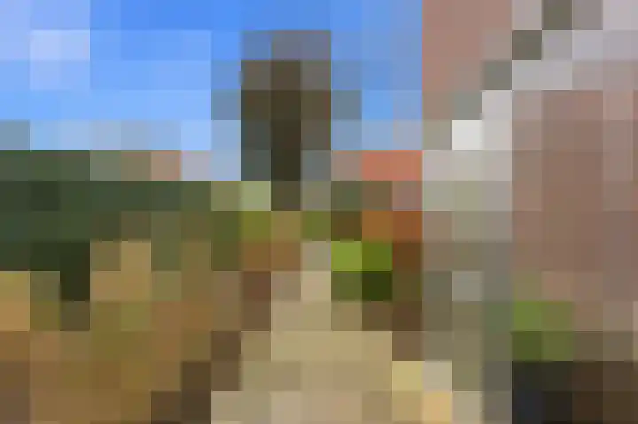 Kastanjesingel 181 B Rotterdam thumbnail 43