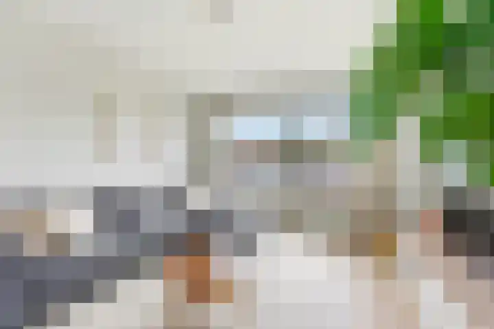 Kastanjesingel 181 B Rotterdam thumbnail 5