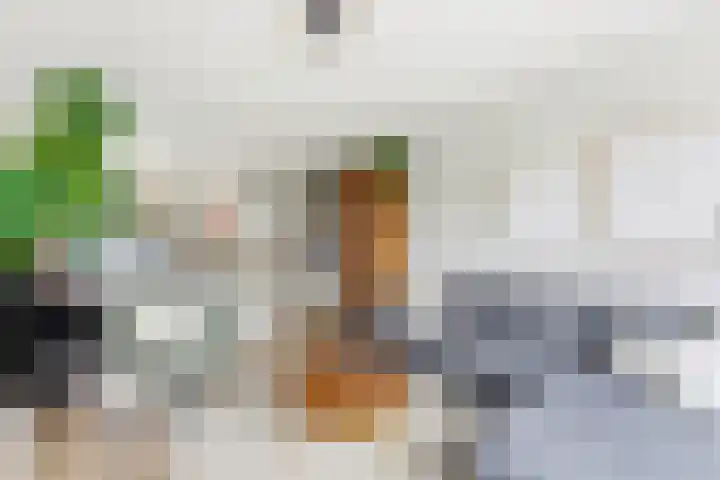 Kastanjesingel 181 B Rotterdam thumbnail 6