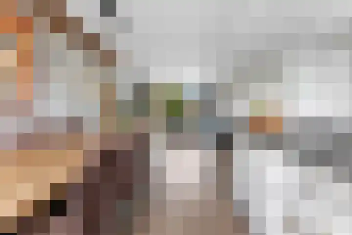 Kastanjesingel 187 A Rotterdam thumbnail 13