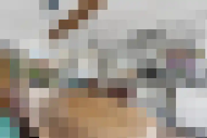 Kastanjesingel 187 A Rotterdam thumbnail 14