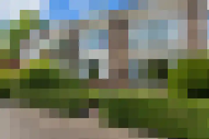 Kastanjesingel 187 A Rotterdam thumbnail 22