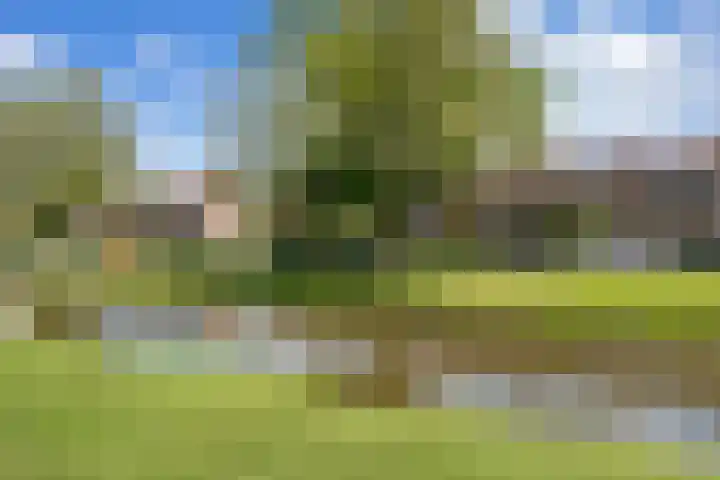 Kastanjesingel 187 A Rotterdam thumbnail 23