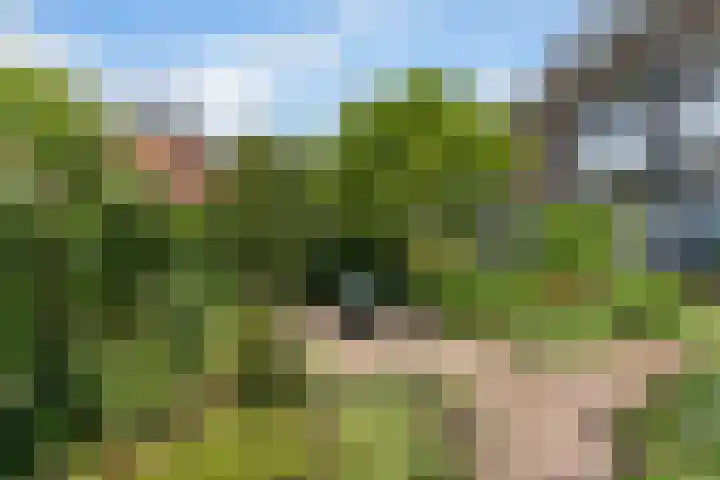 Kastanjesingel 187 A Rotterdam thumbnail 26