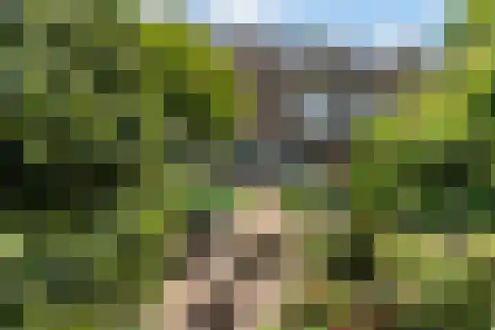 Kastanjesingel 187 A Rotterdam thumbnail 27