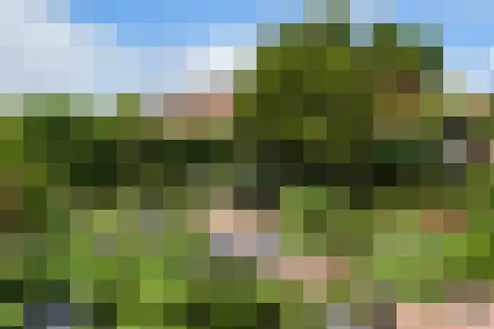 Kastanjesingel 187 A Rotterdam thumbnail 28