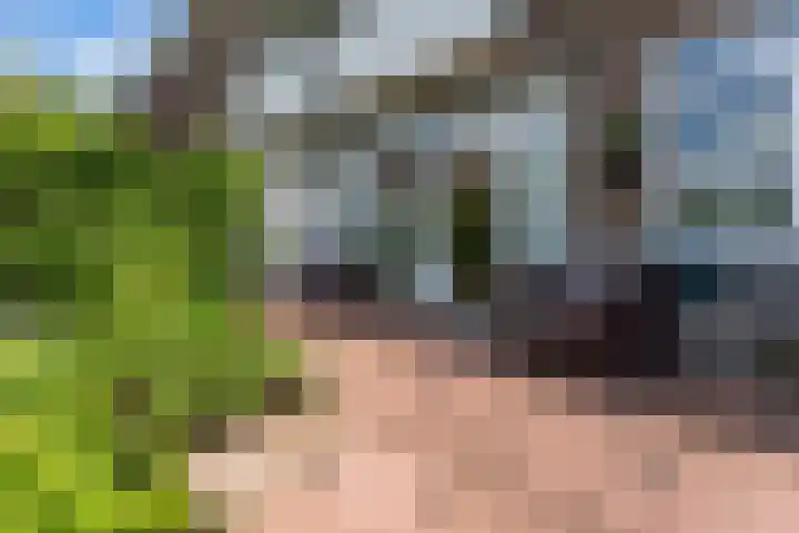 Kastanjesingel 187 A Rotterdam thumbnail 29