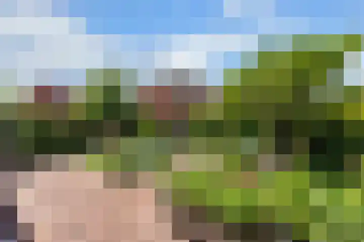 Kastanjesingel 187 A Rotterdam thumbnail 30