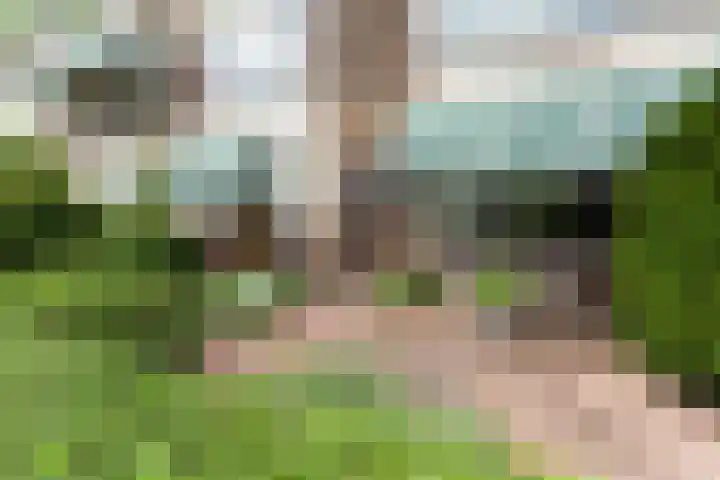 Kastanjesingel 187 A Rotterdam thumbnail 31