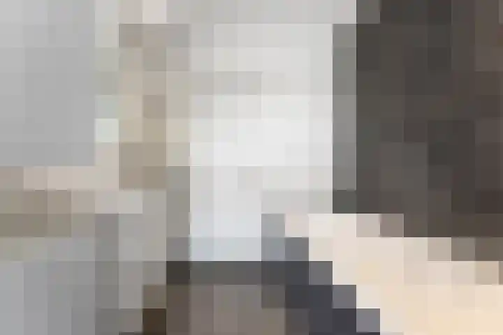 Kastanjesingel 187 A Rotterdam thumbnail 39
