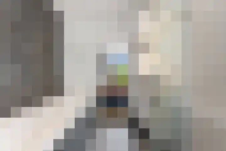 Kastanjesingel 187 A Rotterdam thumbnail 40
