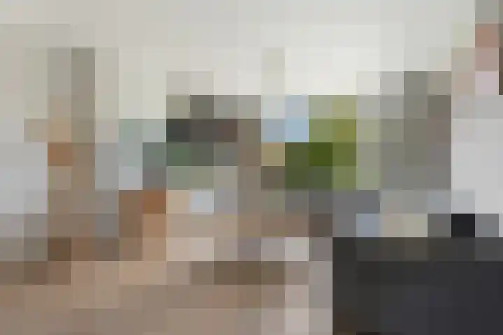 Kastanjesingel 187 A Rotterdam thumbnail 42