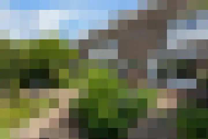 Kastanjesingel 187 A Rotterdam thumbnail 5
