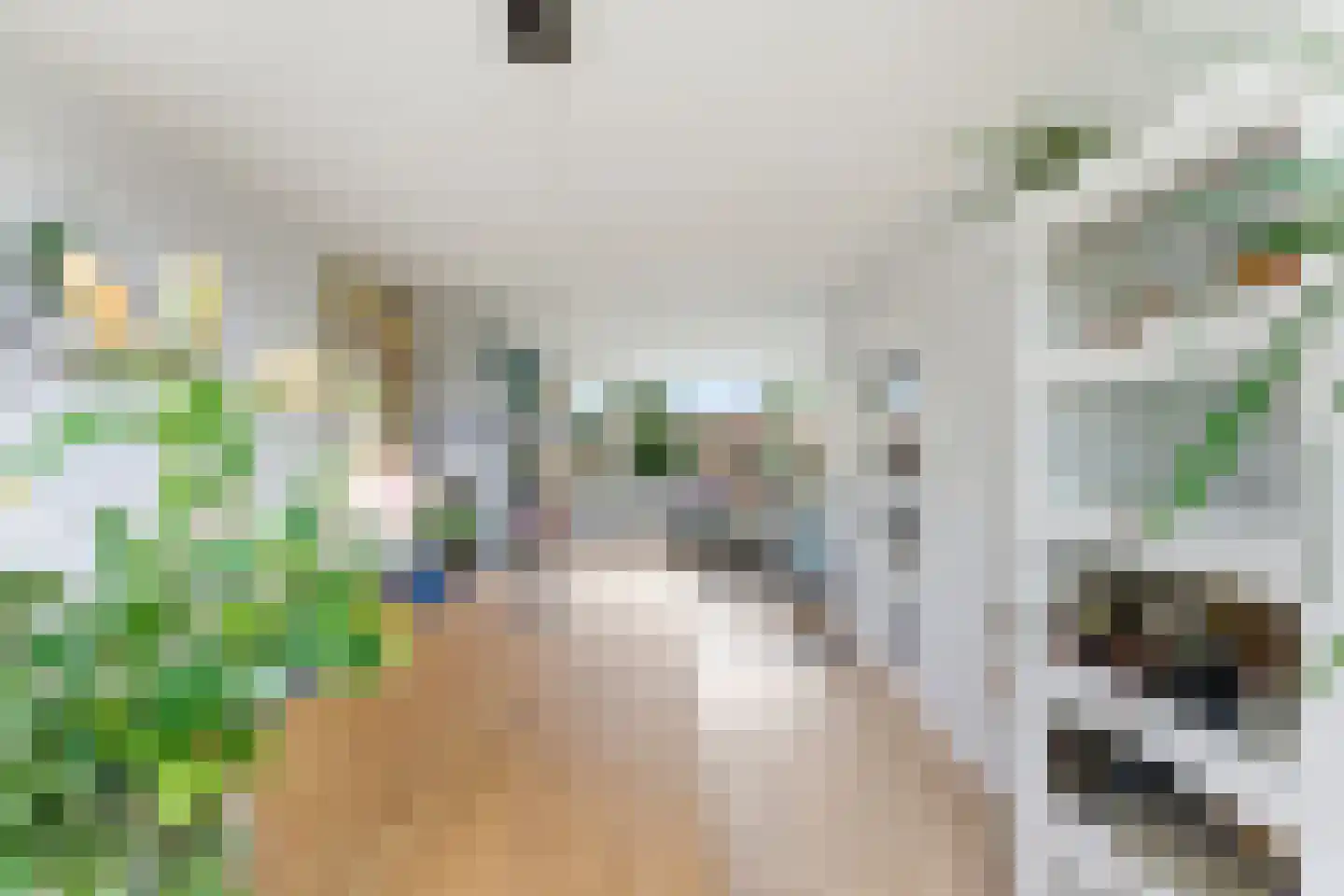 Kastanjesingel 69 B Rotterdam thumbnail 13