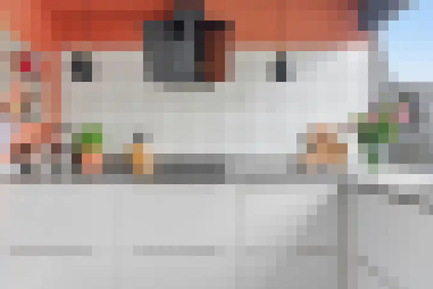 Kastanjesingel 69 B Rotterdam thumbnail 15