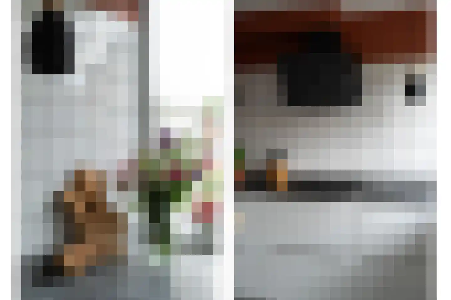 Kastanjesingel 69 B Rotterdam thumbnail 17