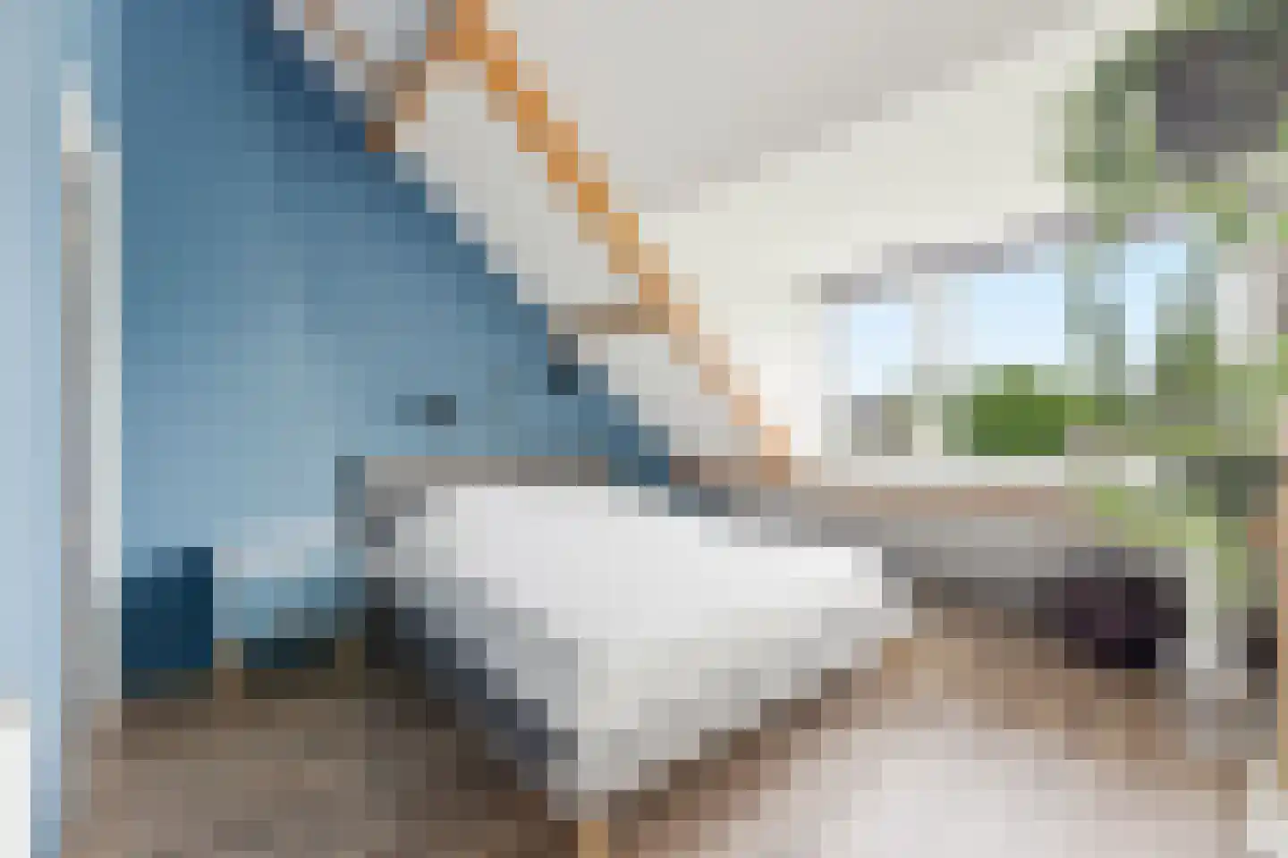 Kastanjesingel 69 B Rotterdam thumbnail 26