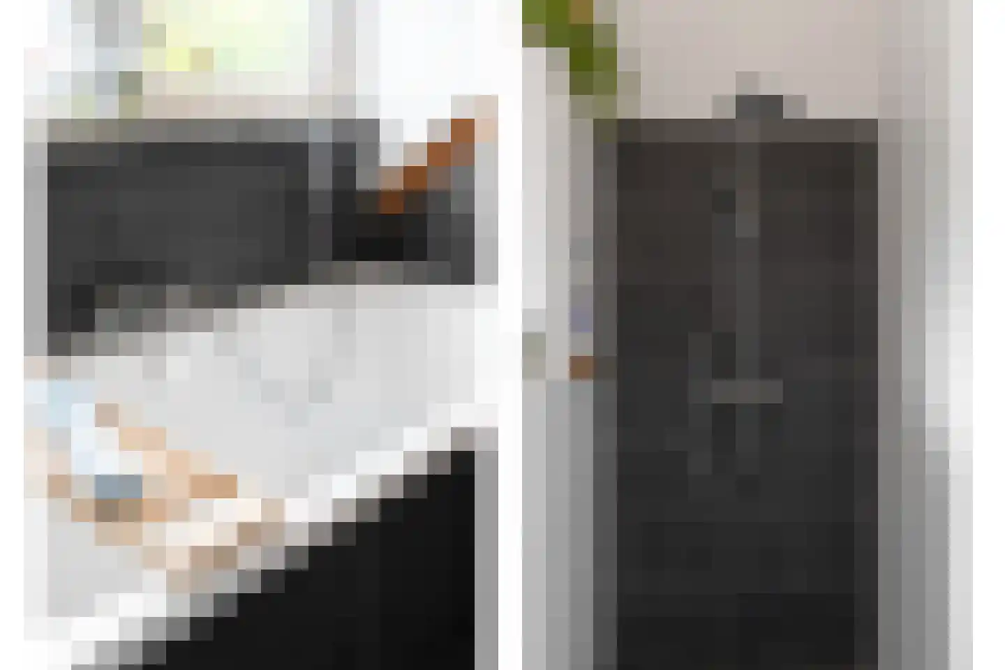 Kastanjesingel 69 B Rotterdam thumbnail 30
