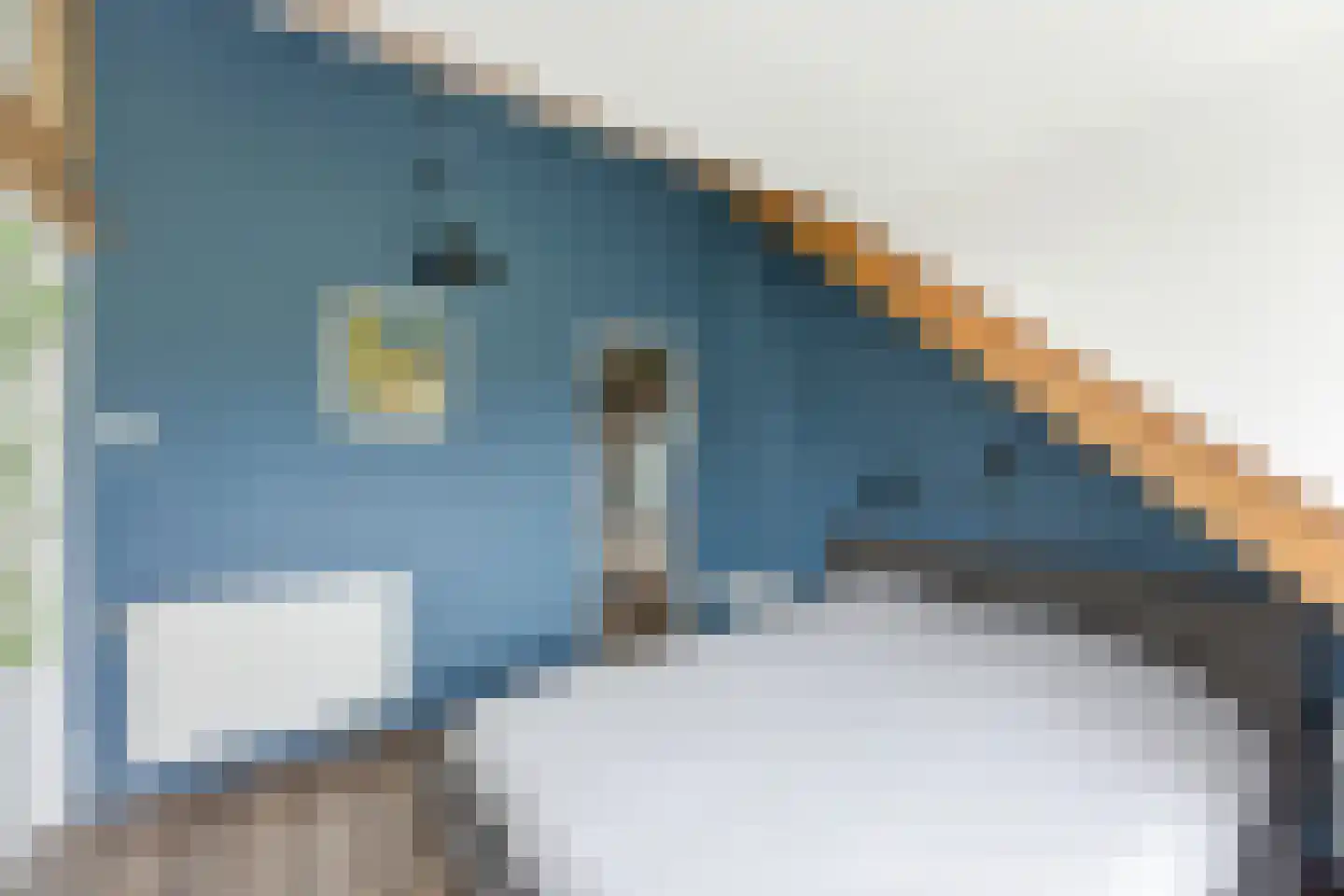 Kastanjesingel 69 B Rotterdam thumbnail 38