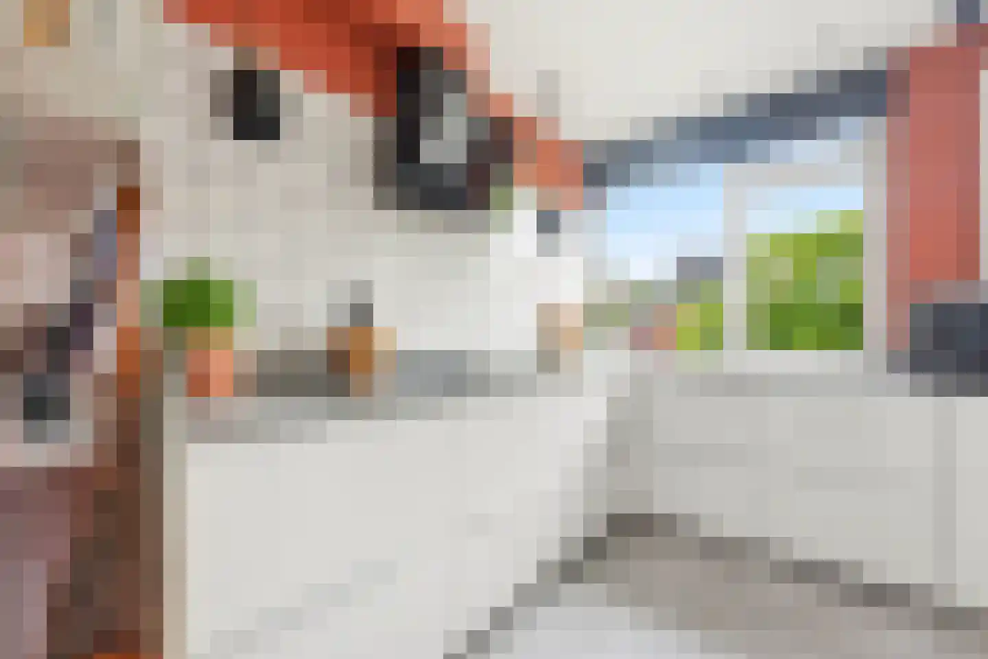 Kastanjesingel 69 B Rotterdam thumbnail 4
