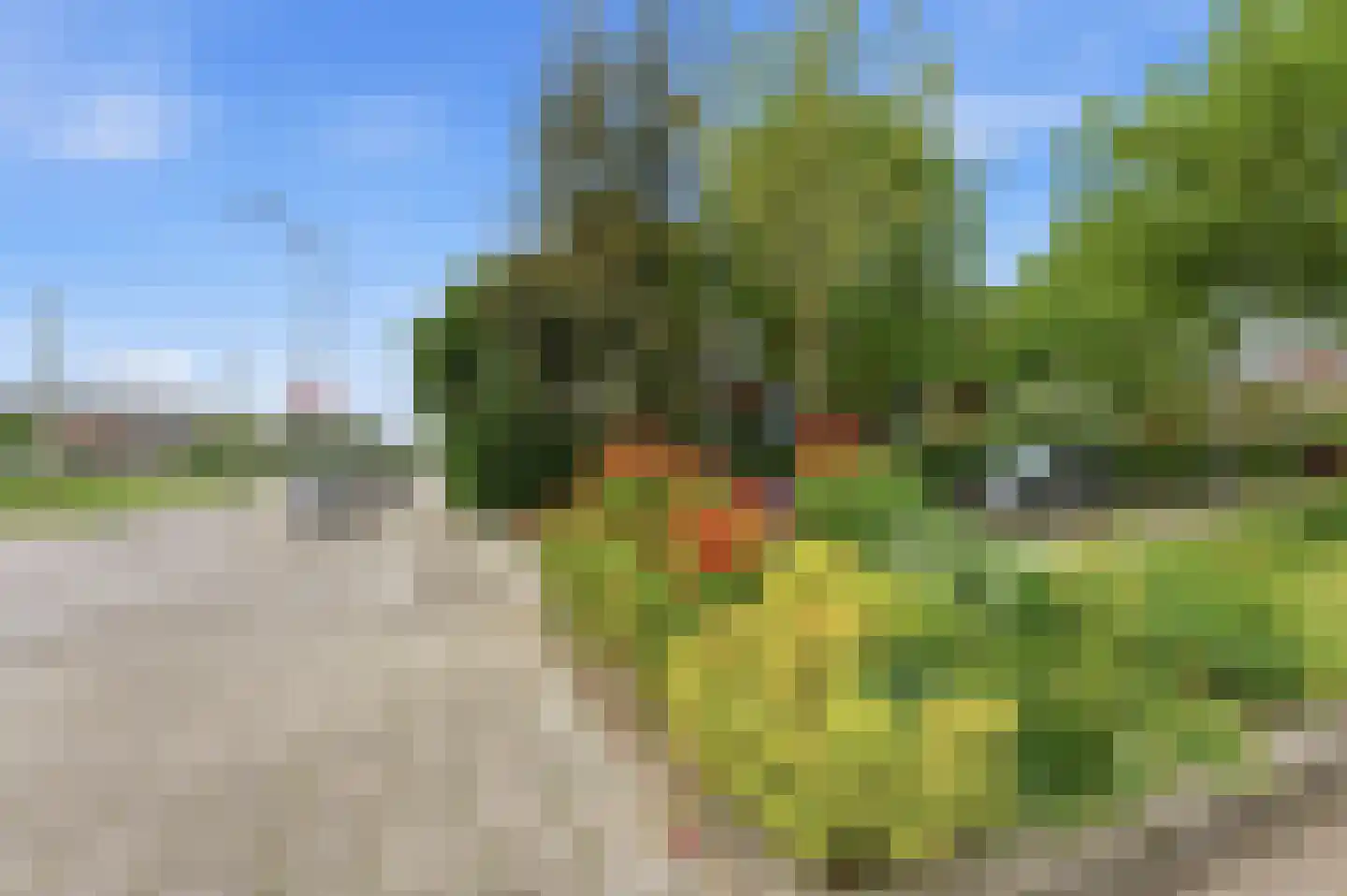 Kastanjesingel 69 B Rotterdam thumbnail 43