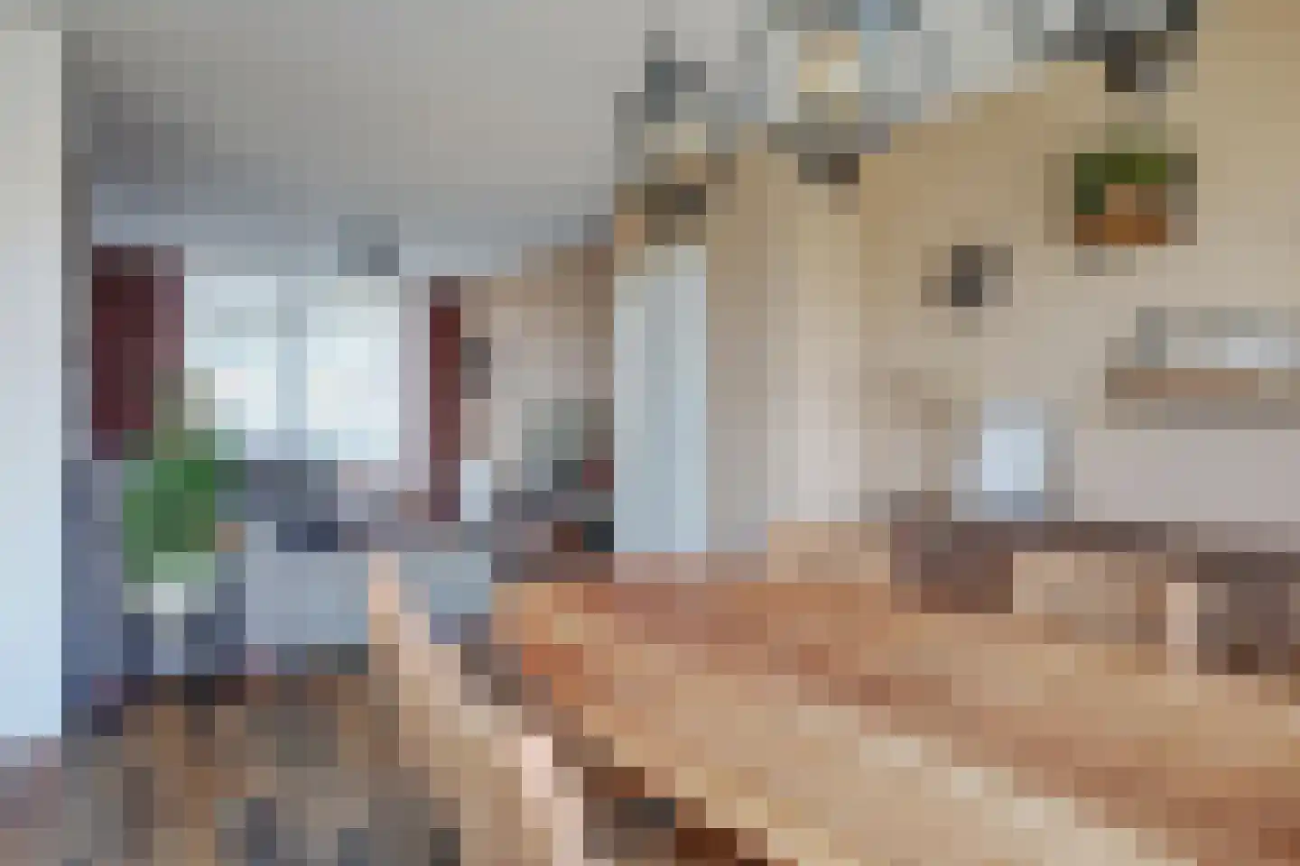 Kastanjesingel 73 A Rotterdam thumbnail 13