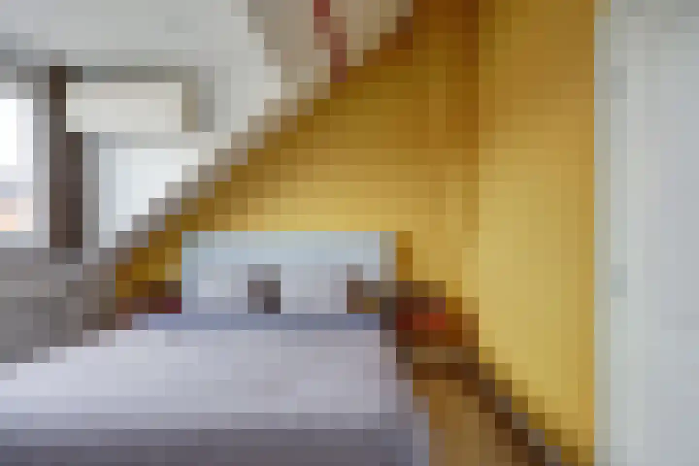 Kastanjesingel 73 A Rotterdam thumbnail 20