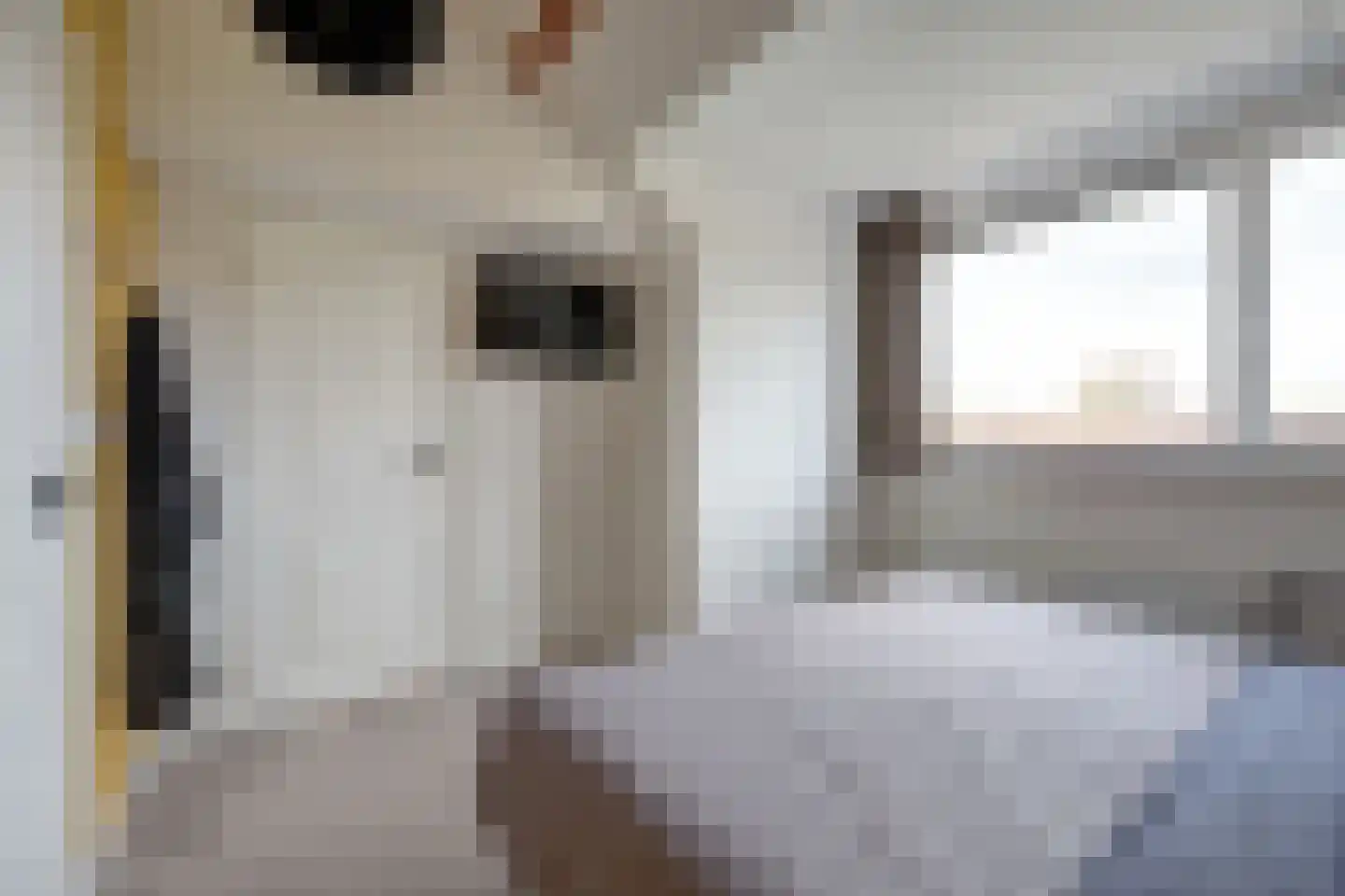 Kastanjesingel 73 A Rotterdam thumbnail 21