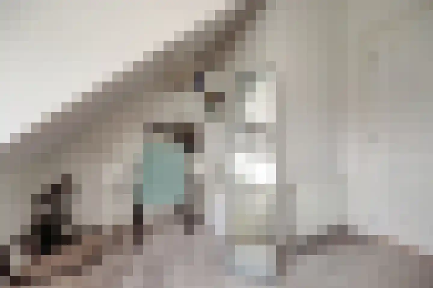 Kastanjesingel 73 A Rotterdam thumbnail 24