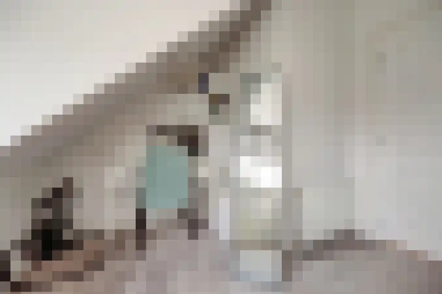 Kastanjesingel 73 B Rotterdam thumbnail 25