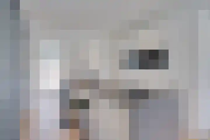 Kastanjesingel 75 A Rotterdam thumbnail 13