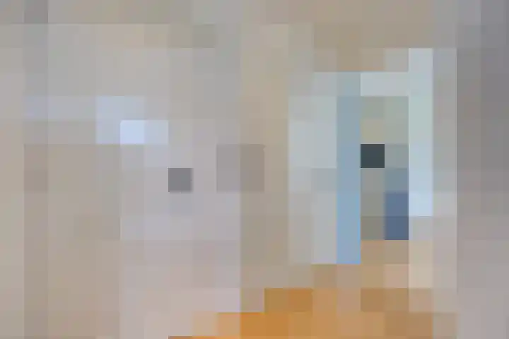Kastanjesingel 75 A Rotterdam thumbnail 16
