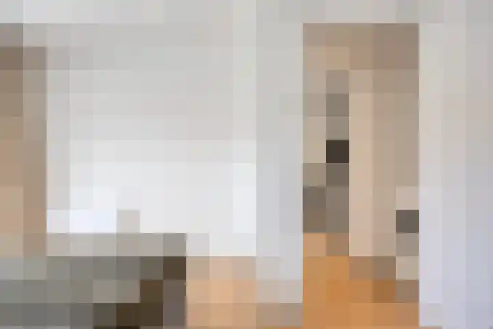 Kastanjesingel 75 A Rotterdam thumbnail 18