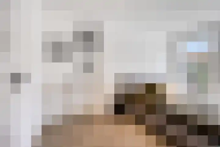 Kastanjesingel 75 A Rotterdam thumbnail 19