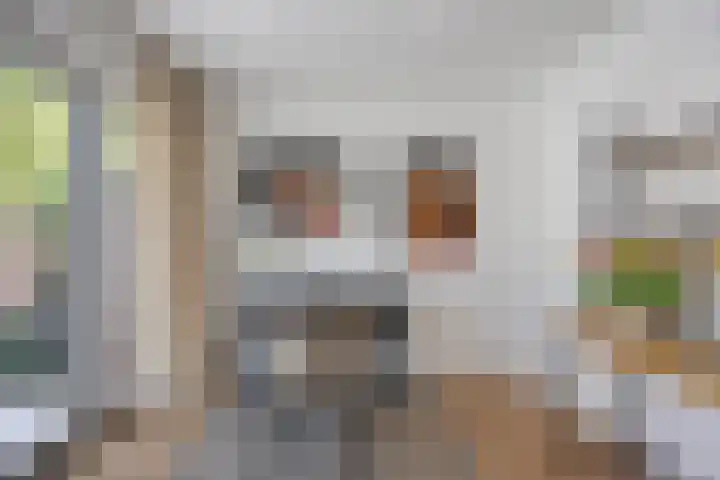 Kastanjesingel 75 A Rotterdam thumbnail 21