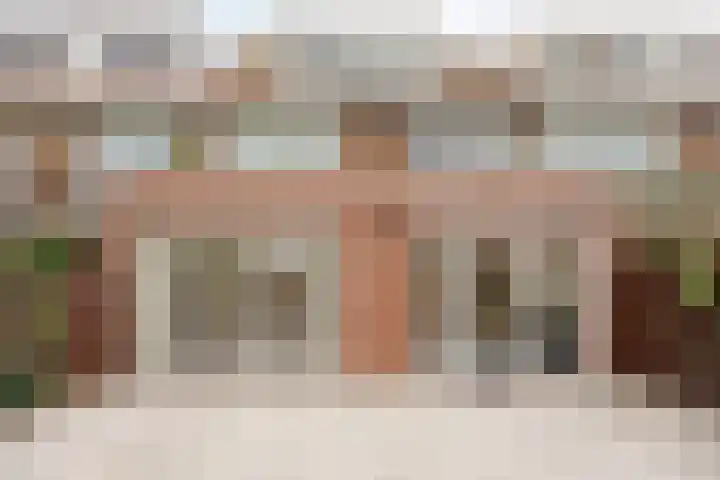 Kastanjesingel 75 A Rotterdam thumbnail 23