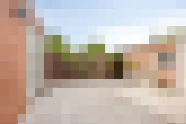 Kastanjesingel 75 A Rotterdam thumbnail 27