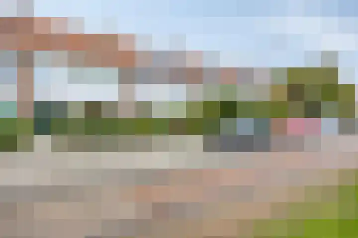 Kastanjesingel 75 A Rotterdam thumbnail 28