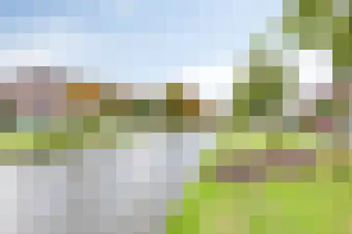 Kastanjesingel 75 A Rotterdam thumbnail 6