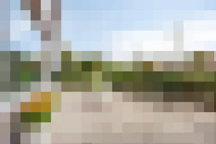 Kastanjesingel 75 A Rotterdam thumbnail 7