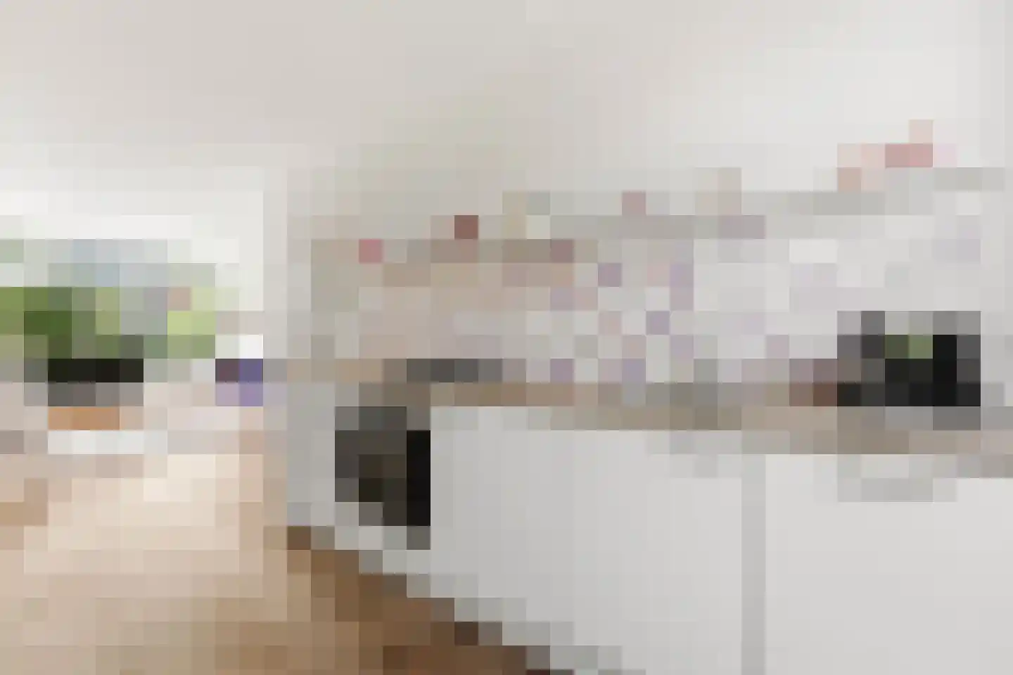 Kastanjesingel 89 A Rotterdam thumbnail 10