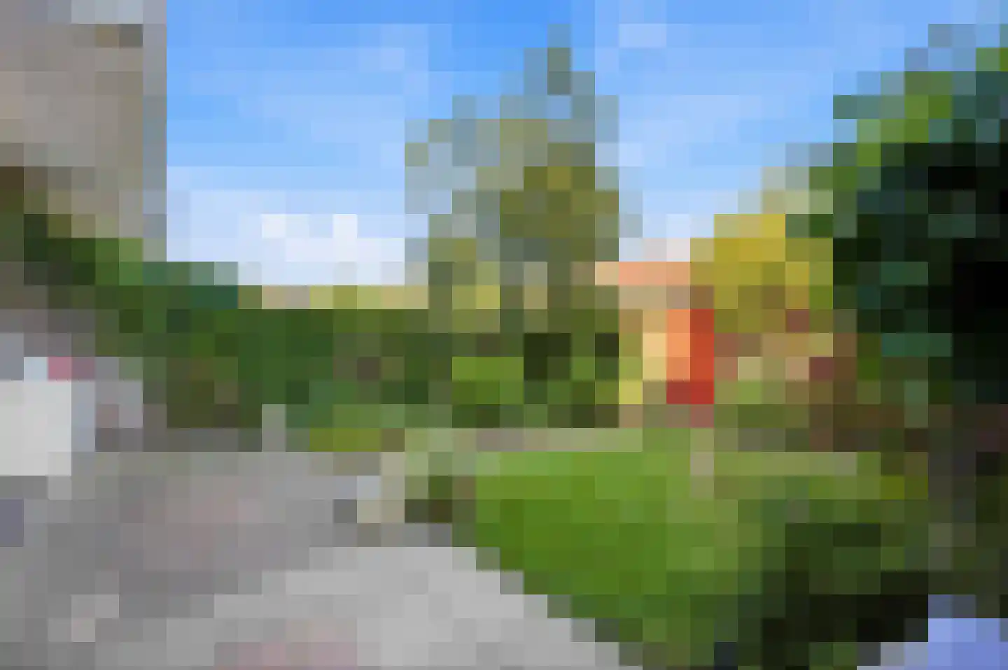 Kastanjesingel 89 A Rotterdam thumbnail 21
