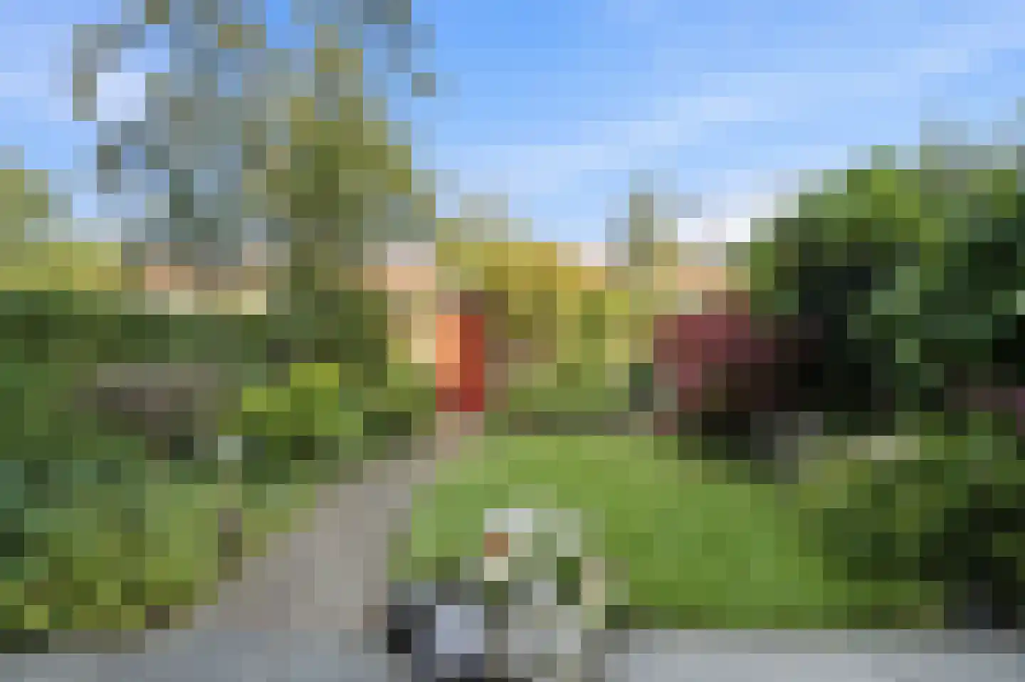 Kastanjesingel 89 A Rotterdam thumbnail 22
