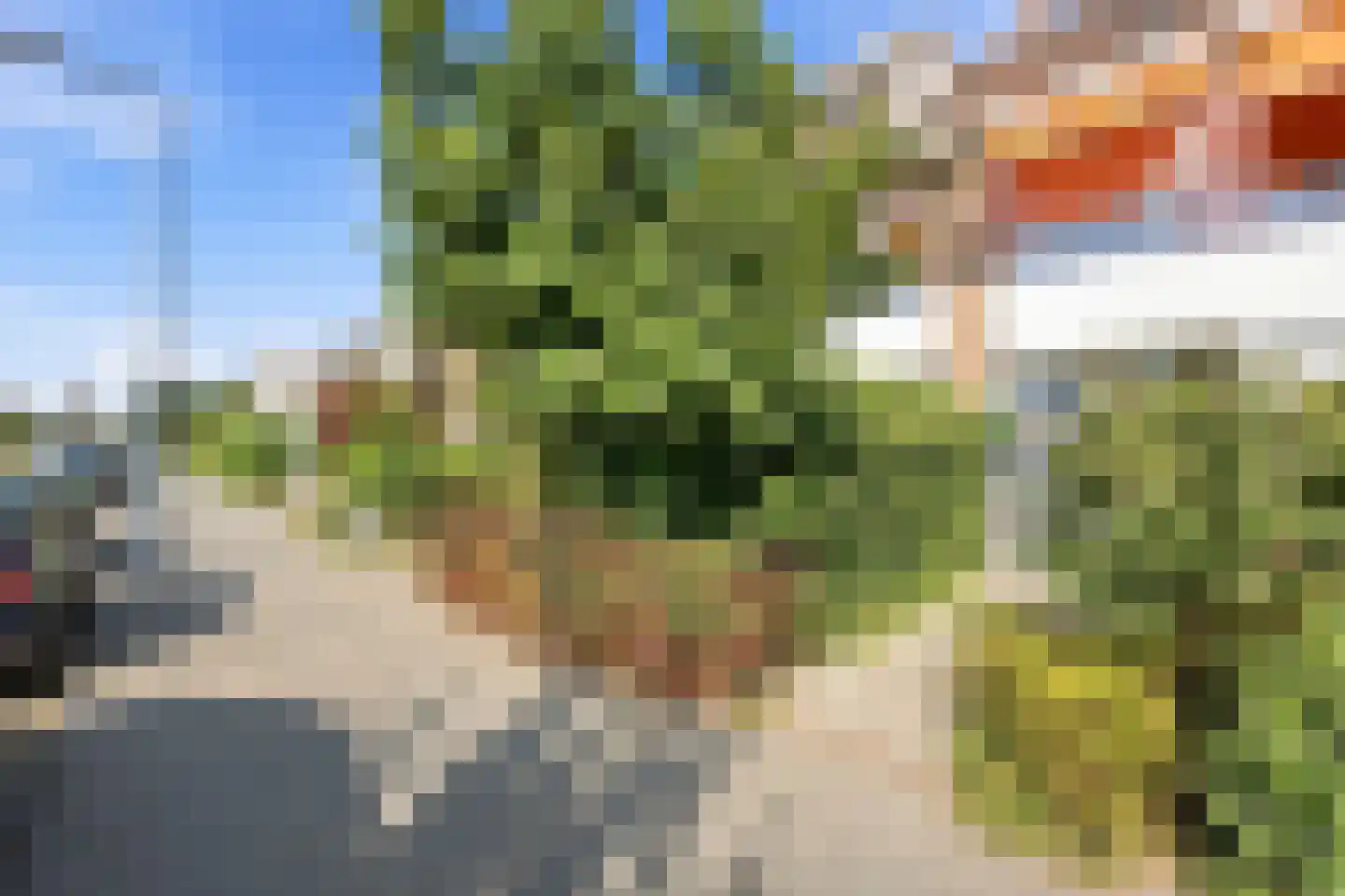 Kastanjesingel 89 A Rotterdam thumbnail 33